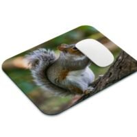 mókusos egérpad 001