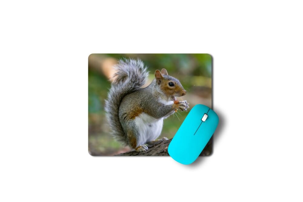 mókusos egérpad 003