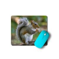 mókusos egérpad 003