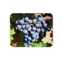 szőlős egérpad 004