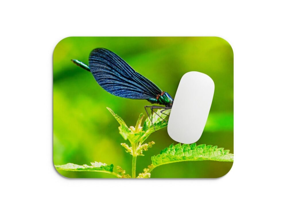 szitakötős egérpad 002