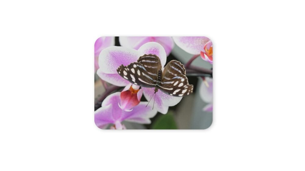 pillangós egérpad 004