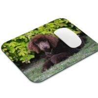 uszkár kutya egérpad 001