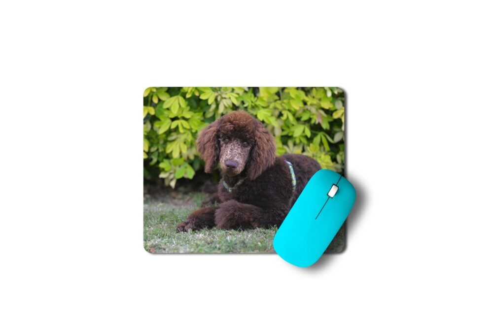 uszkár kutya egérpad 003