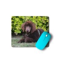 uszkár kutya egérpad 003