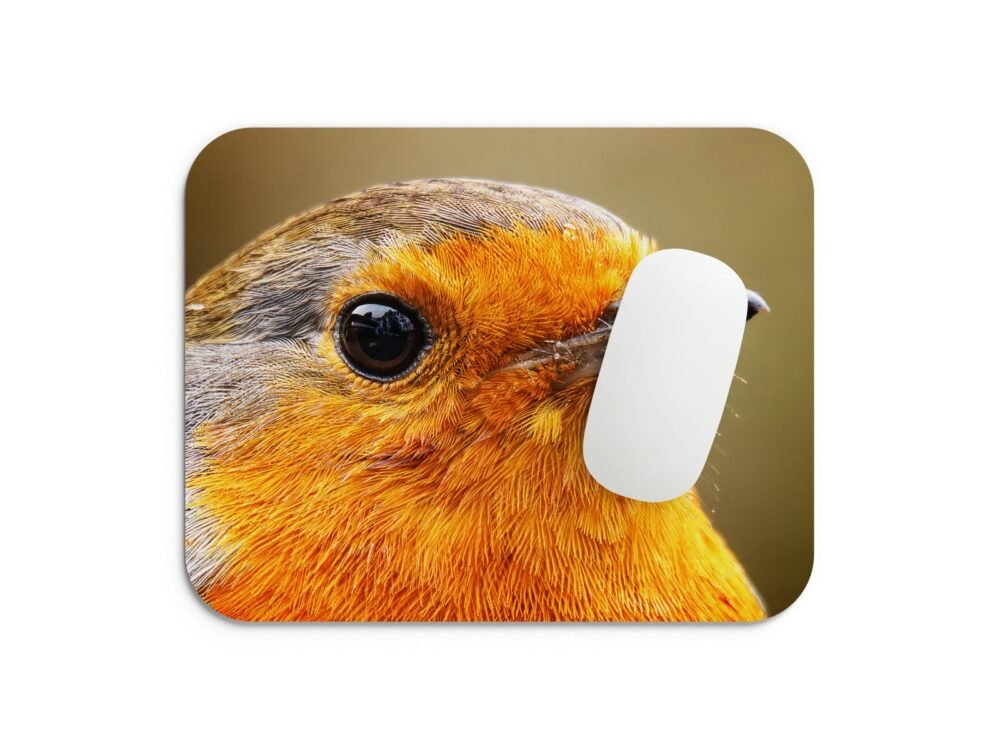 vörösbegy egérpad 002