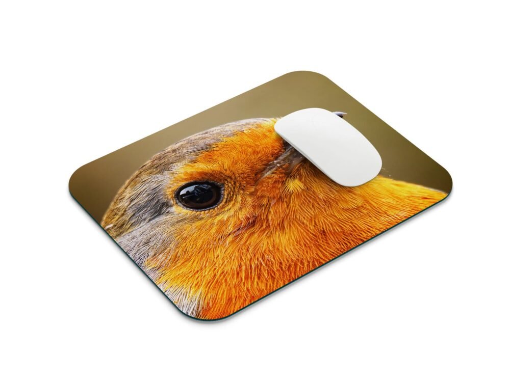 vörösbegy egérpad 001