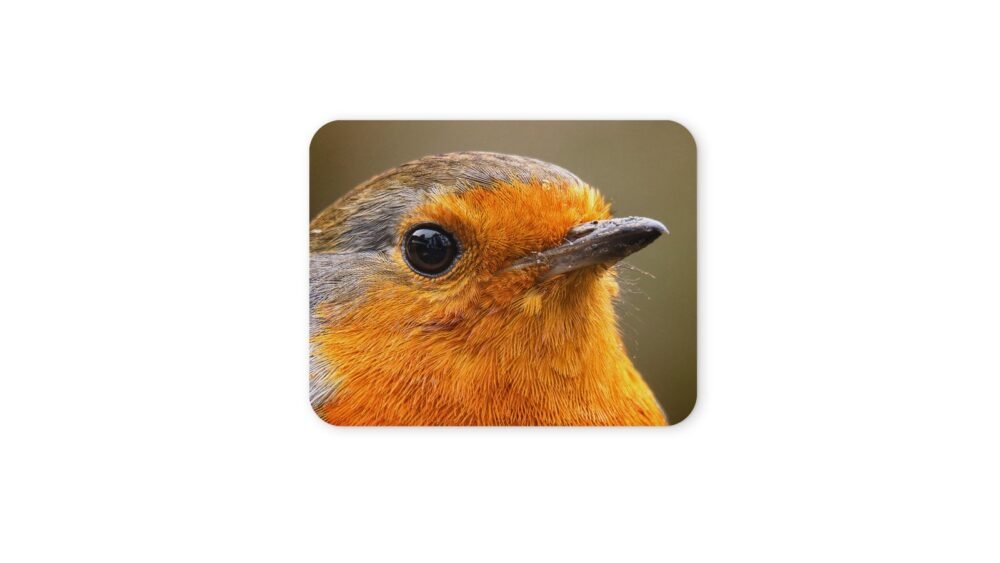 vörösbegy egérpad 004