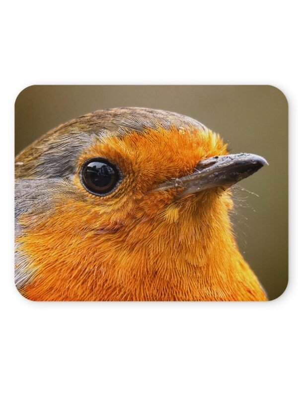 vörösbegy egérpad 004