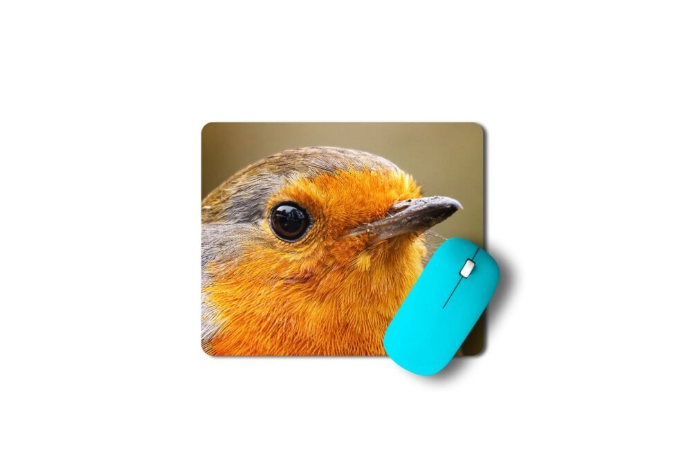 vörösbegy egérpad 003