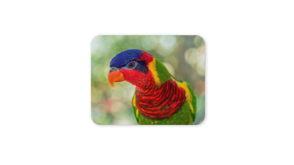 szivárványos lóri egérpad 004