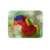 szivárványos lóri egérpad 004