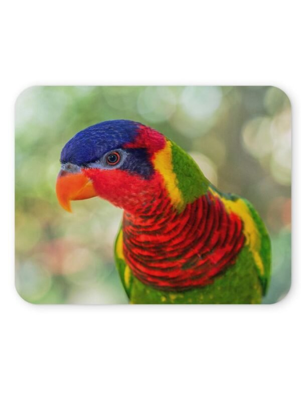 szivárványos lóri egérpad 004