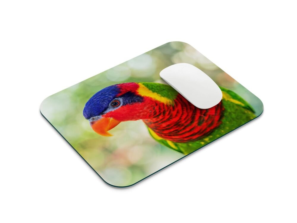 szivárványos lóri egérpad 001