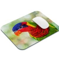 szivárványos lóri egérpad 001