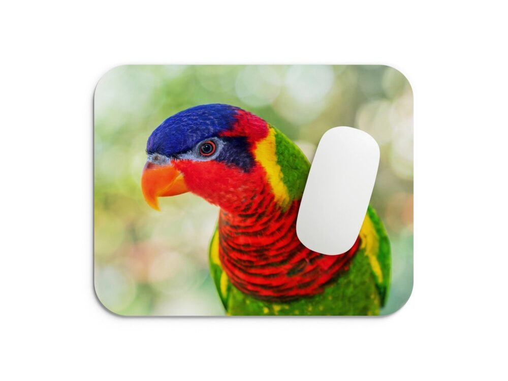 szivárványos lóri egérpad 002