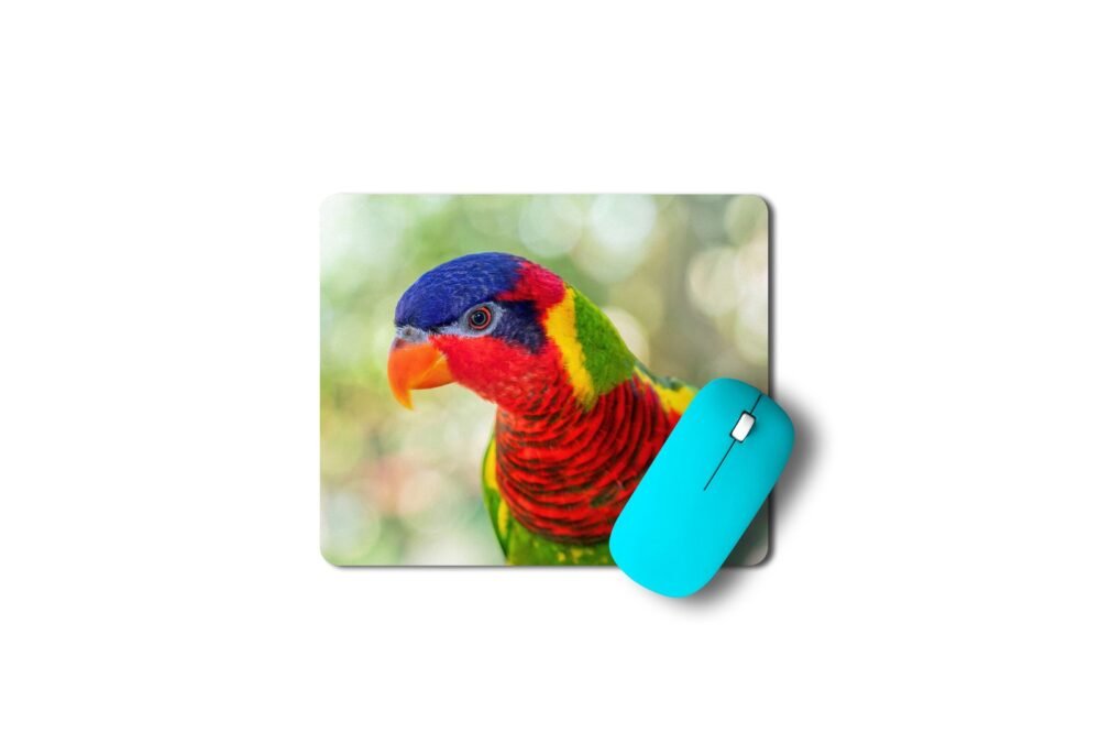 szivárványos lóri egérpad 003