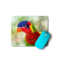 szivárványos lóri egérpad 003