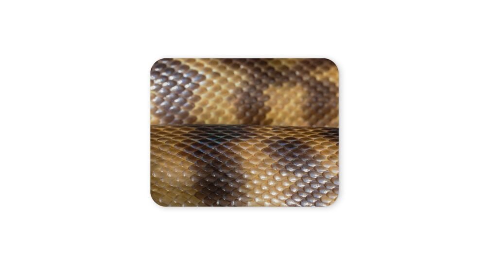 kígyóbőr egérpad 004