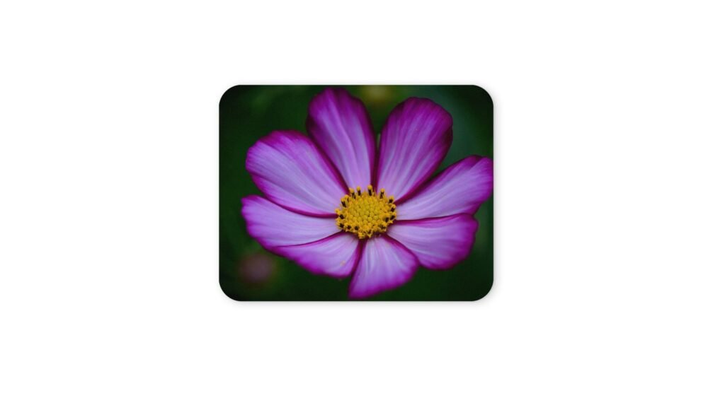 kosmos virág egérpad 004