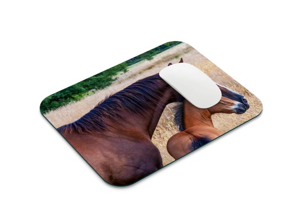 ló és csikó egérpad 001