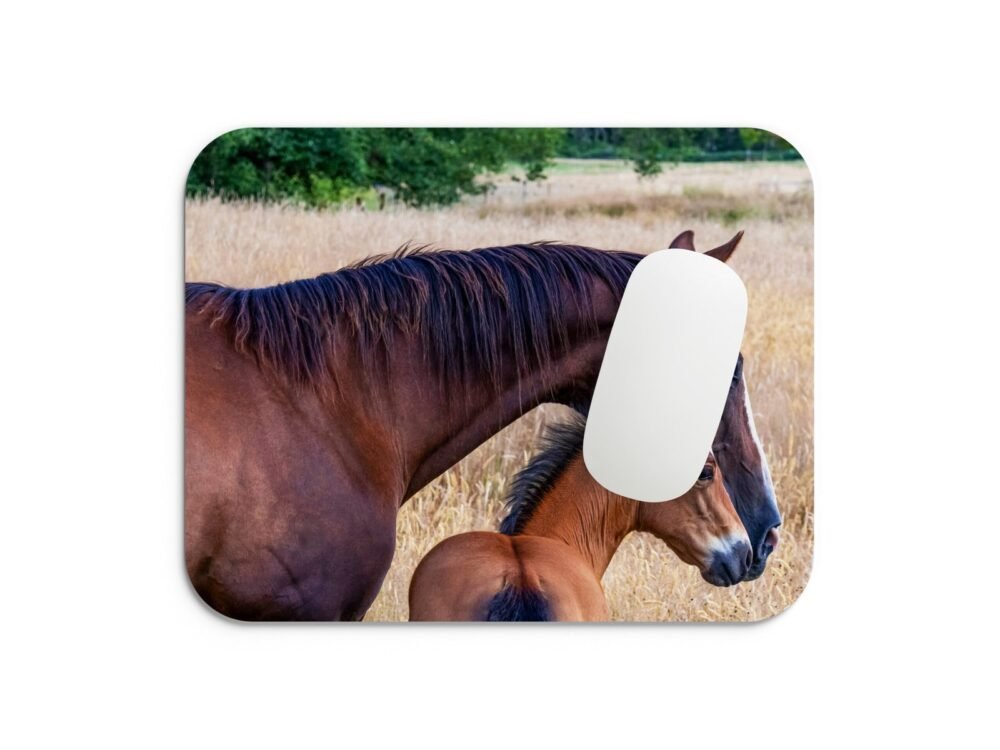 ló és csikó egérpad 002