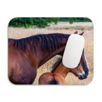 ló és csikó egérpad 002