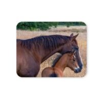 ló és csikó egérpad 004