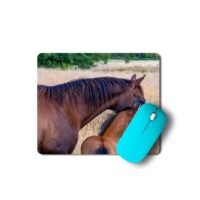 ló és csikó egérpad 003