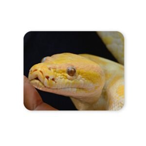 albínó piton egérpad 004