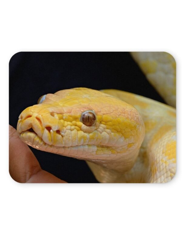 albínó piton egérpad 004