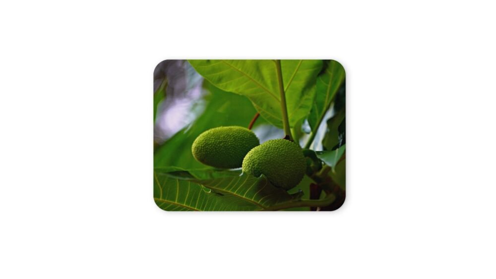 kenyérfa egérpad 004