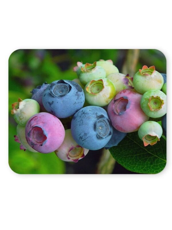 áfonya egérpad 004