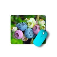 áfonya egérpad 003