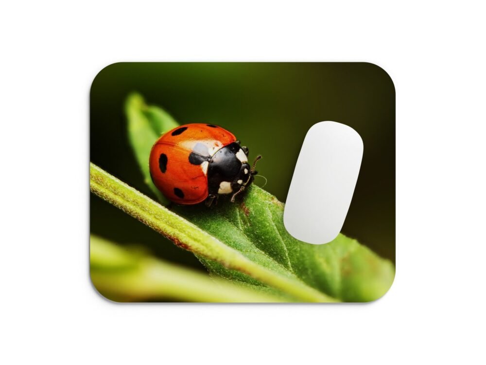 katicabogár egérpad 002
