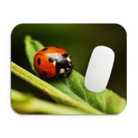 katicabogár egérpad 002