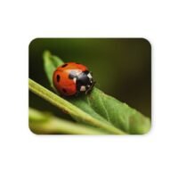 katicabogár egérpad 004