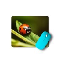 katicabogár egérpad 003
