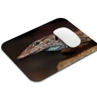 varánusz egérpad 001