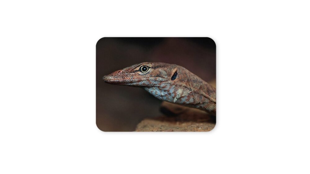 varánusz egérpad 004