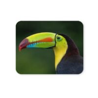 tukán egérpad 004