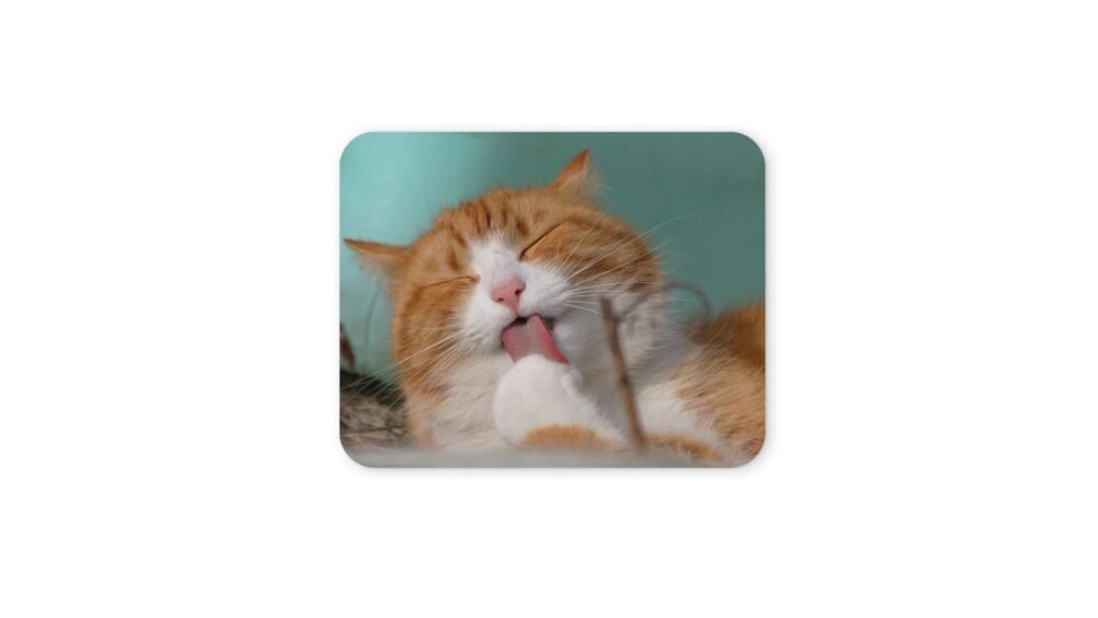 macska egérpad 004