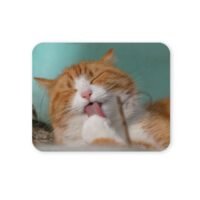 macska egérpad 004