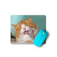 macska egérpad 003