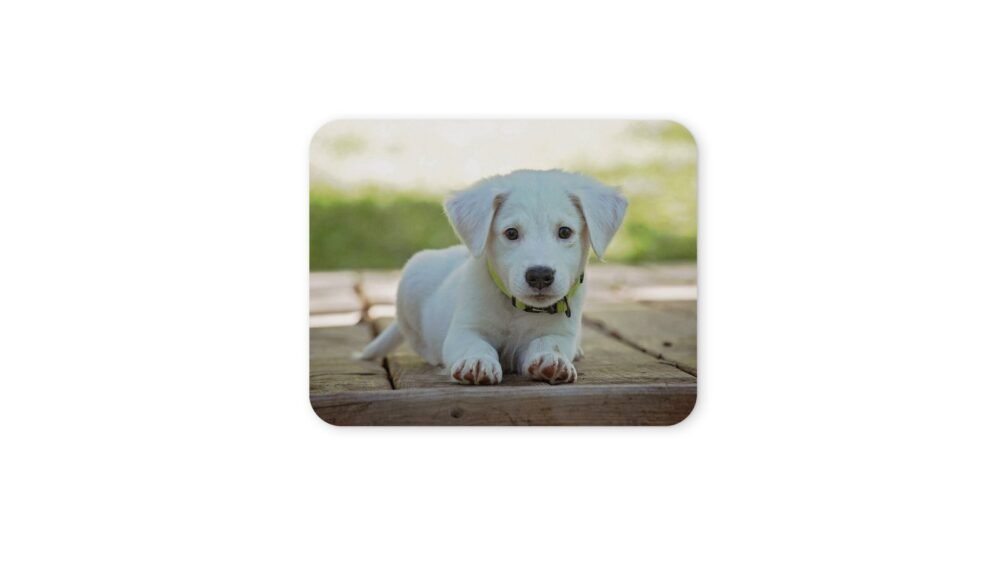 kölyökkutya egérpad 004