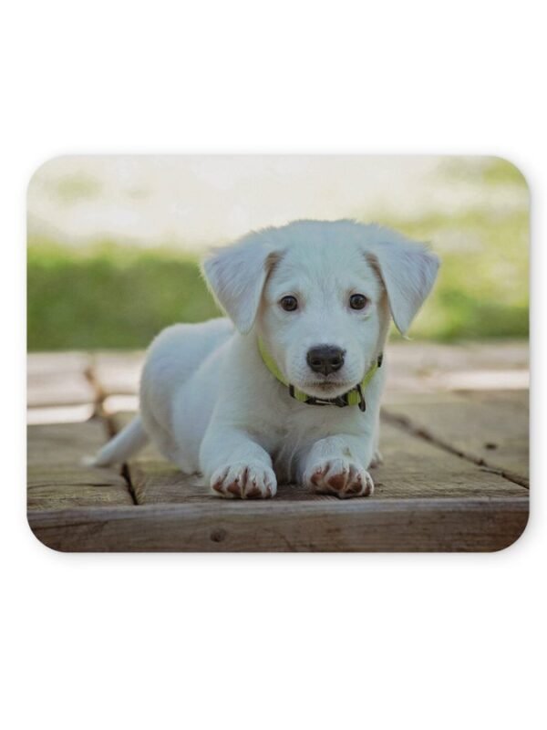 kölyökkutya egérpad 004