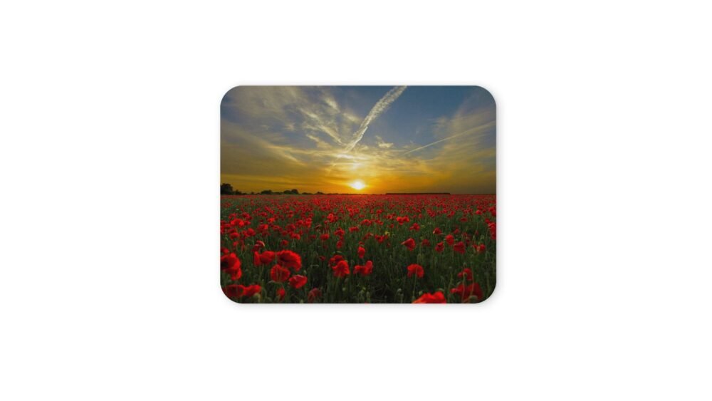 pipacsmezős egérpad 004