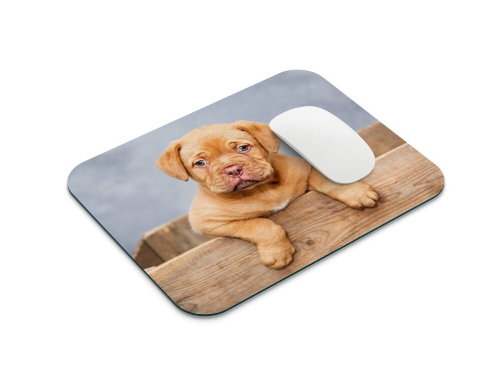 kiskutya egérpad 001