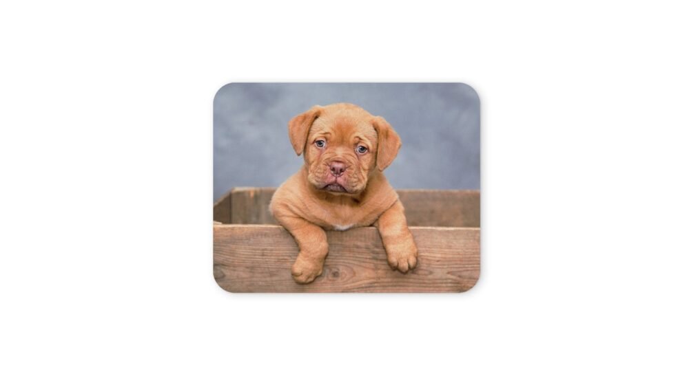 kiskutya egérpad 004