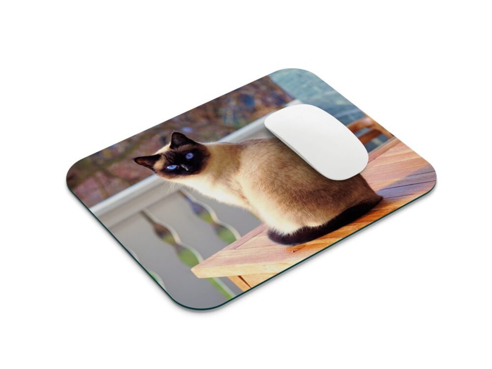 sziámi macska egérpad 001